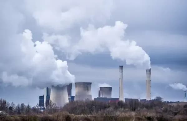 IDXCarbon Tawarkan 90 Juta Ton Karbon di COP 30 Brasil IDXCarbon Tawarkan 90 Juta Ton Karbon di COP 30 Brasil