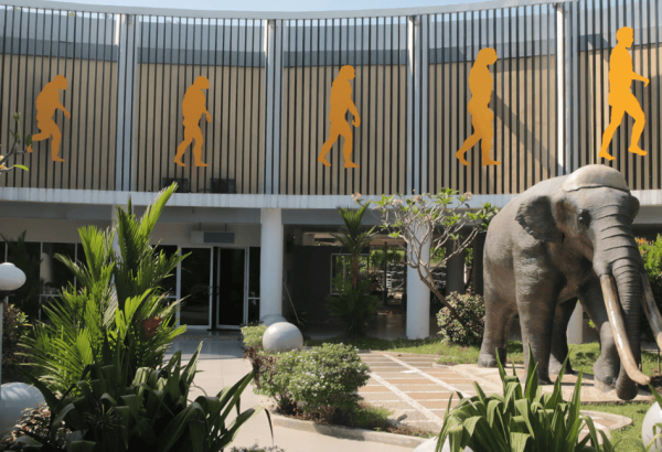 5 Wisata Tegal yang Lagi Hits Selain Pemandian Air Panas, Cocok untuk Liburan Keluarga