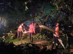 Pohon Tumbang di Kedaung Tangsel, Bocah Perempuan Alami Luka-luka