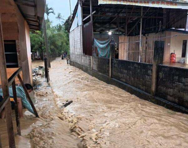 Update: 116 Orang Meninggal Akibat Banjir dan Longsor di Sumut