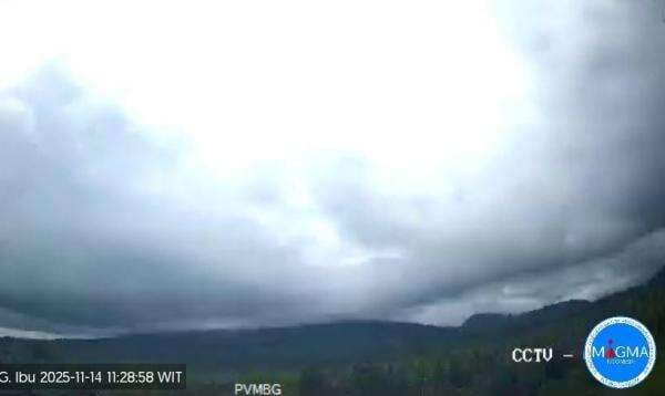 Gunung Ibu di Maluku Utara Erupsi Hari Ini, Kolom Abu Letusan Tertutup Awan
