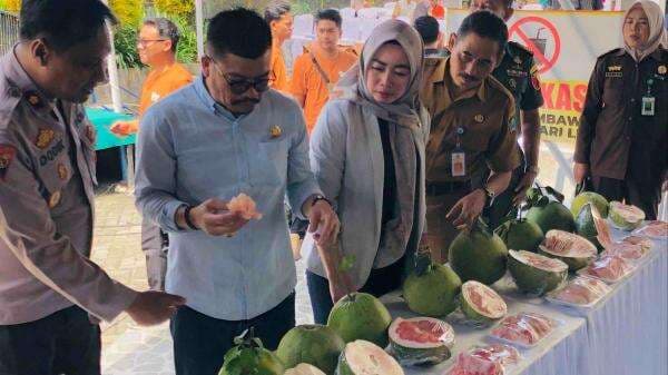 Festival Pamelo Jadi Etalase Jeruk Khas Magetan yang Siap Naik Kelas