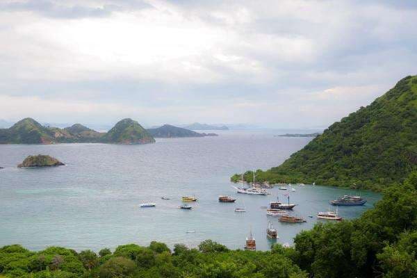 Pascainsiden Fernando Martin, Pelayaran Kapal Wisata di Labuan Bajo Dihentikan Sementara