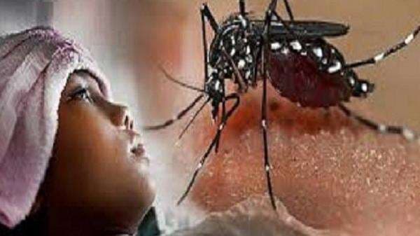 387 Warga Kota Banjar Terjangkit DBD Sepanjang 2024, 5 Orang Meninggal