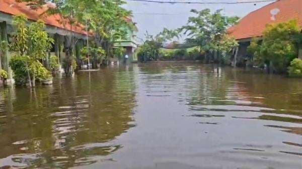 Banjir di Tanggulangin Sidoarjo Belum Surut, Aktivitas Warga Terganggu
