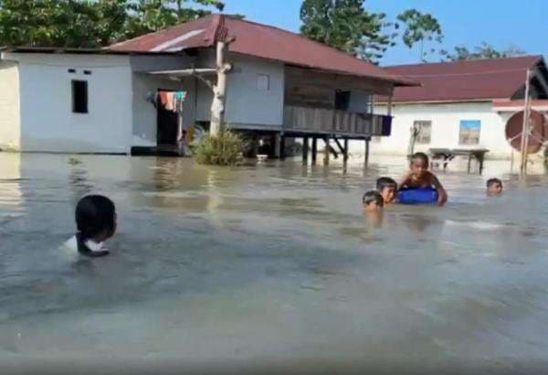 2 Bulan Terendam Banjir, 1.400 Kepala Keluarga di Luwu Utara Terisolasi