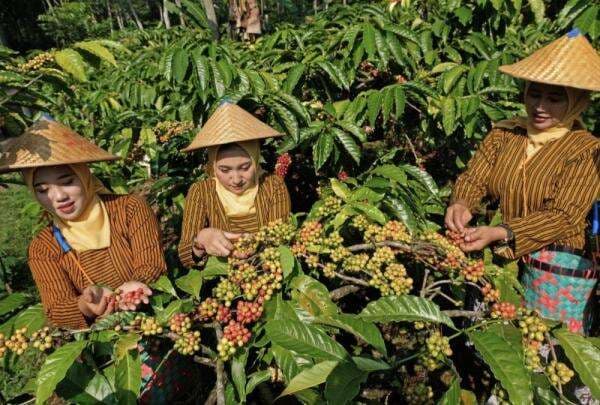 Berdayakan 14,4 Juta Pengusaha Wanita, Holding Ultra Mikro BRI Ciptakan Kesetaraan Gender