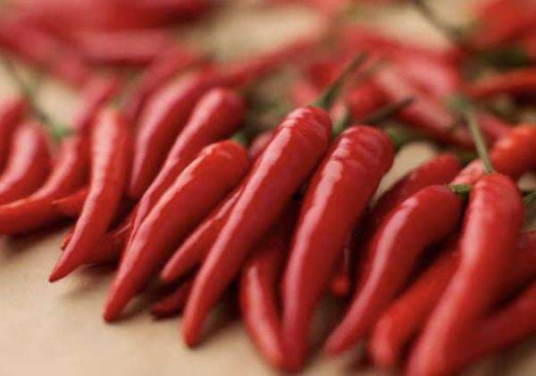 Intip Harga Pangan Awal Pekan, Cabai Merah Rp44 Ribuan per Kg