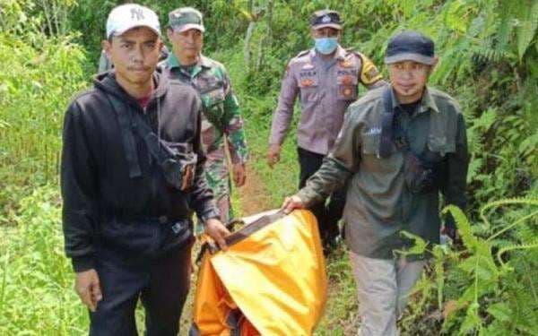 Horor Harimau Sumatera Mangsa Perambah di TNBBS Lampung, Jasad Korban Tersisa Kepala Saja!