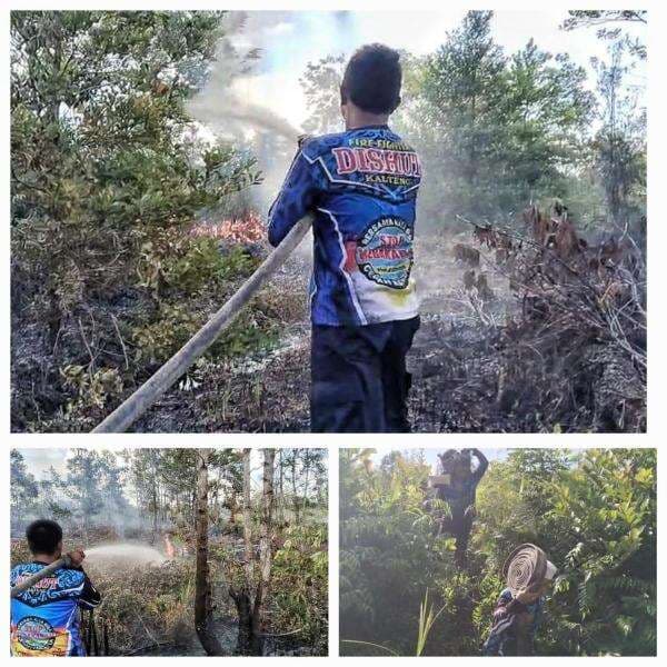 Kebakaran Lahan Gambut Hampir 1 Hektare di Palangka Raya, Tim Dishut Kalteng Berhasil Padamkan Api