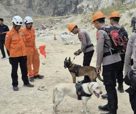 Tim K-9 Ditsamapta Polda Jabar Diterjunkan ke Lokasi Longsor di Cirebon