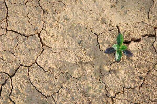Tadabur 5 Ayat Surat Yasin tentang Fenomena Alam, Simak di Sini!