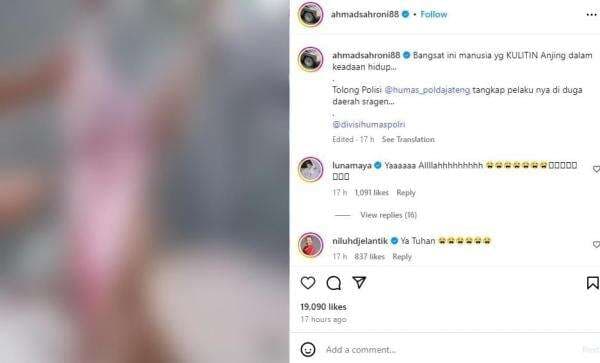 Viral Video Anjing Dikuliti Hidup-Hidup, DPR Desak Polisi Segera Tangkap Pelaku