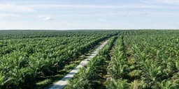 Investor, Sebelum Investasi Kenali Dulu Profil Saham GZCO