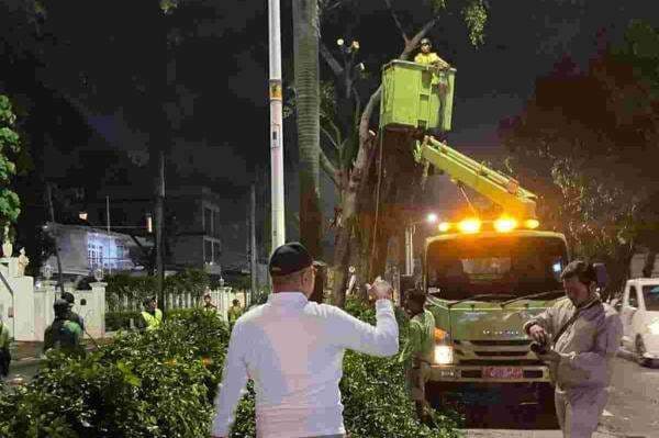 8 Pohon di Pondok Indah Jaksel Ditebang, Dianggap Bahayakan Pengguna Jalan