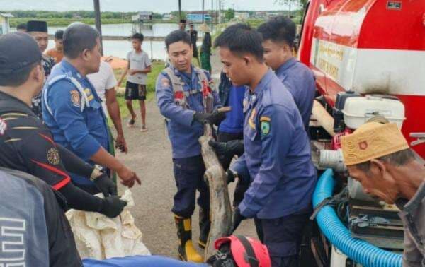 Heboh! Ular Piton 5 Meter Sembunyi Dekat Permukiman Warga, Tim Damkar Maros Lakukan Evakuasi