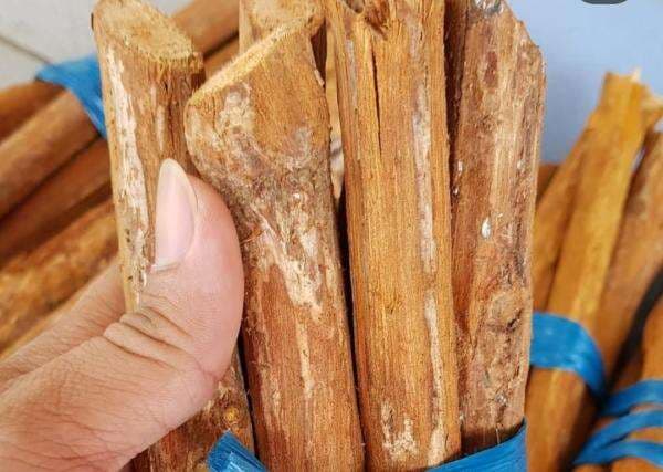 8 Manfaat Kayu Bajakah Bagi Kesehatan dan Cara Mengolah, Simak!