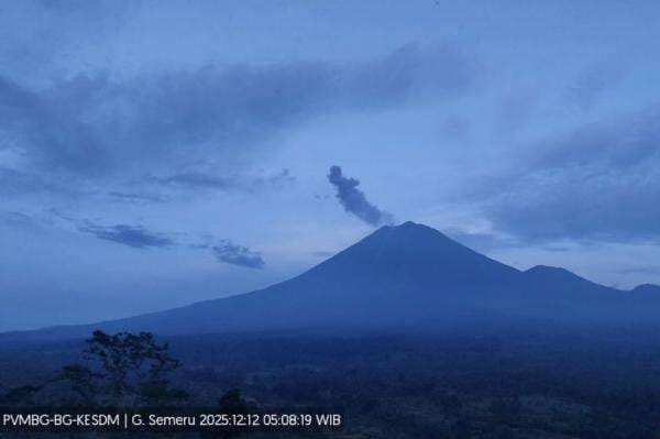 Gunung Semeru Erupsi Hari ini, Kolom Abu Capai 800 Meter
