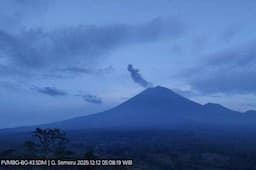 Gunung Semeru Erupsi Hari ini, Kolom Abu Capai 800 Meter