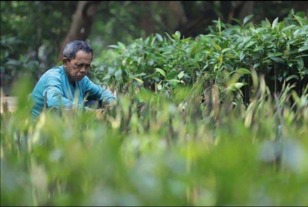 Blibli Sukses Kelola Limbah hingga Donasi Lebih dari 100 Ribu Mangrove