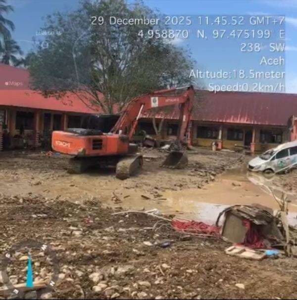 Kemenhut Terus Lakukan Pembersihan Tumpukan Kayu Pascabencana Banjir Sumatera
