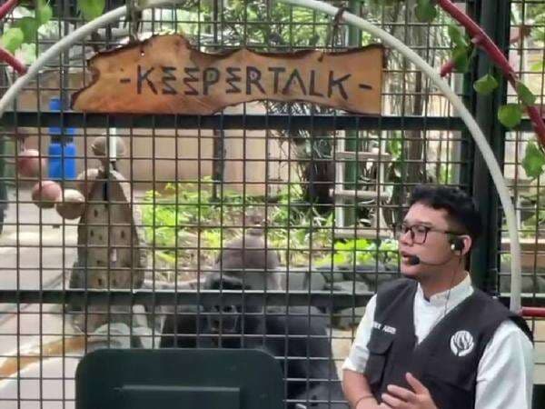 70.000 Orang Diprediksi Habiskan Long Weekend Isra Miraj ke Taman Margasatwa Ragunan