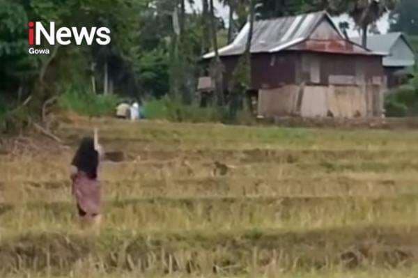 Geger! Seorang Ibu Kejar Pasangan Selingkuh di Jeneponto dengan Kayu