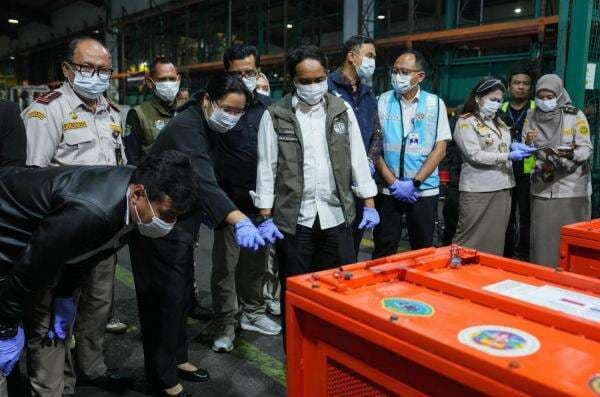 Empat Orang Utan Korban Perdagangan Satwa Liar Dipulangkan ke Indonesia