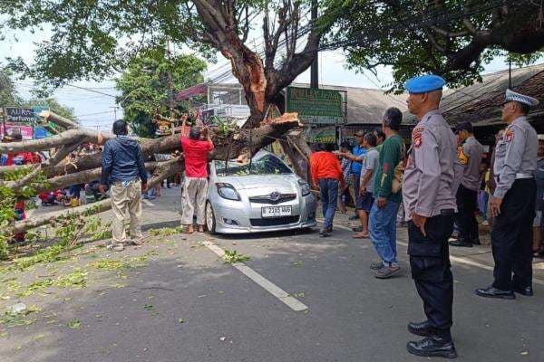 Pohon Tumbang Timpa Mobil di Rempoa Tangsel, 2 Orang Luka-Luka