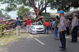 Pohon Tumbang Timpa Mobil di Rempoa Tangsel, 2 Orang Luka-Luka