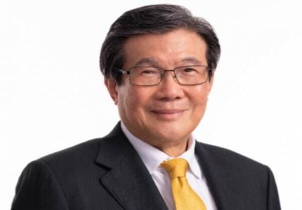 Siapa Pemilik Saham CDIA? Ternyata Ini Sosoknya