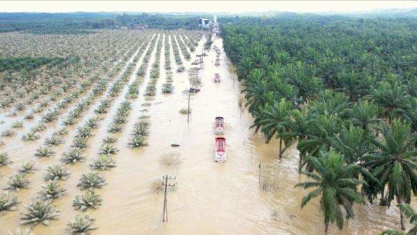 Kaleidoskop 2025 : Pilu Banjir Sumatera hingga deretan Kontroversi Penanganan Bencana