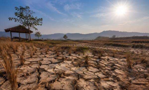 BMKG Sebut El Nino Berdampak Kemarau Lebih Kering, Puncaknya Agustus-September 2026