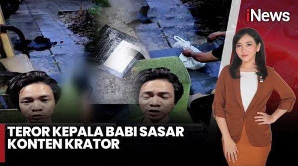 Heboh Kreator Konten di Bogor Diteror Kepala Babi, Begini Penampakannya