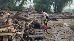  2 Anjing Pelacak Dikerahkan Cari Korban Banjir Lahar Dingin di Agam   