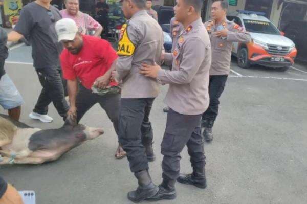 Ricuh! Massa Demo Bawa Babi ke Polresta Sorong Berujung Nyaris Bentrok dengan Polisi