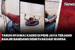 Heroik! Kades Terobos Banjir Selamatkan Warga Terjebak Banjir di Pidie Jaya