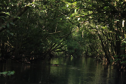 Menhut Segel Empat Subjek Hukum yang Diduga Jadi Biang Kerok Banjir Sumatera