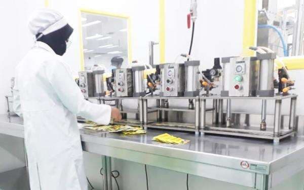 Peluang dan Risiko SIDO di Semester II-2025, Ini Prospek Sahamnya