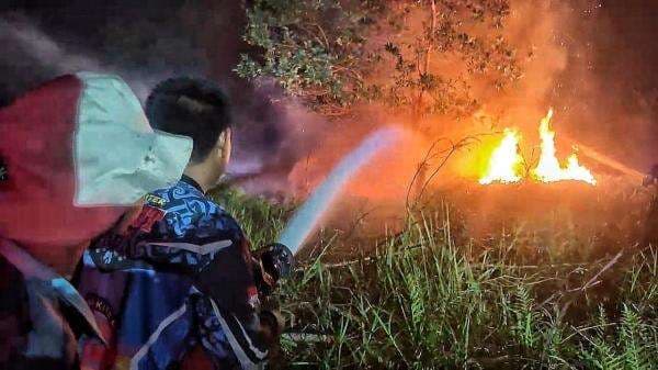 Kebakaran Hutan dan Lahan di Palangka Raya Semakin Meluas, Api Dekati Permukiman Warga
