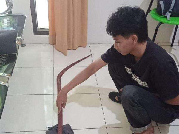 Video Viral Sekelompok Remaja Berlarian Bawa Sajam di Jalan, Polresta Pati Amankan 6 Pelaku