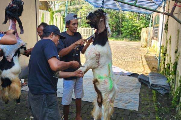 Kompak! Anggota IPPAT Lintas Agama Dukung Penyembelihan Hewan Kurban