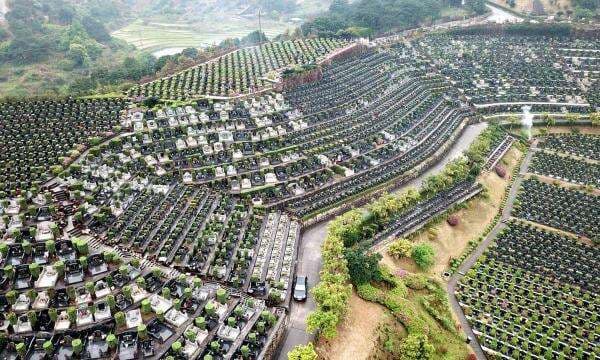 Kisah Tragis Kuburan Mobil di China: Ribuan Mobil Baru Dibiarkan Berkarat Akibat Perang Harga