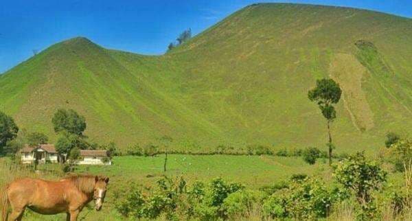 3 Jalur Alternatif ke Bondowoso dengan Rute Paling Cepat dan Hemat Waktu