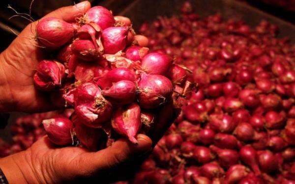 Update Harga Pangan di Awal Pekan: Bawang Merah hingga Daging Naik
