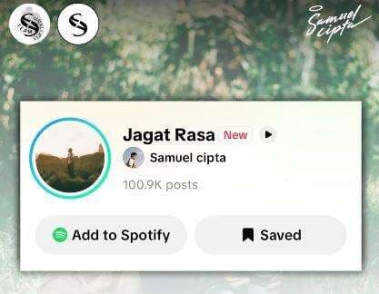 Banjir Konten Romantis, Jagat Rasa Milik Samuel Cipta Raih 100 Ribu Pengguna di TikTok