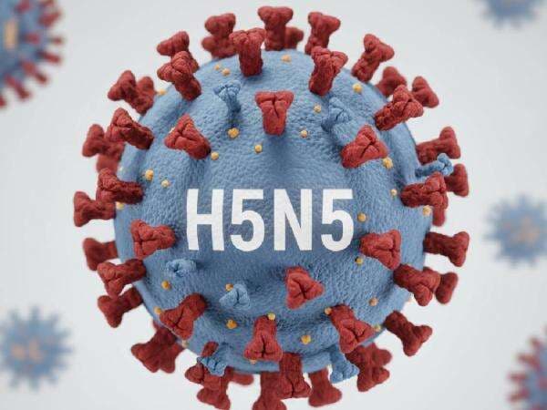 Virus H5N5 Menginfeksi Manusia untuk Pertama Kalinya, OTW Pandemi Baru?