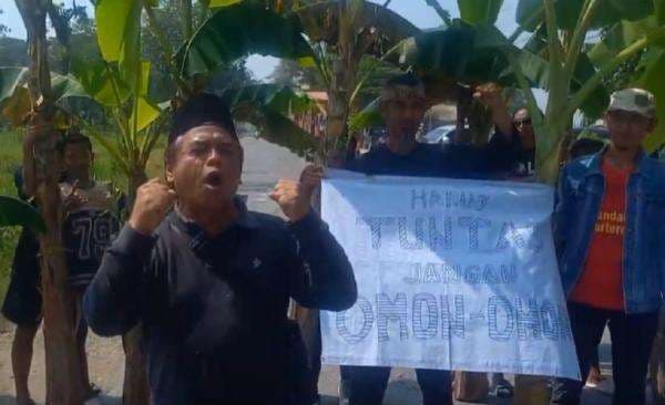 Demo Jalan Rusak Tak Ditangani, Warga Blora Tanam Pohon Pisang di Jalur Provinsi