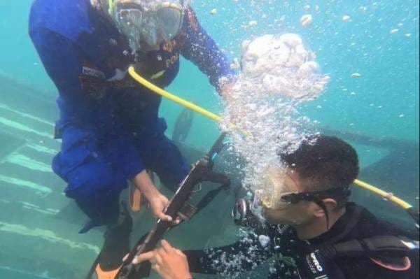 Perburuan Rusa Ilegal di Pulau Komodo Digagalkan, Patroli Gabungan Sempat Terlibat Kontak Senjata