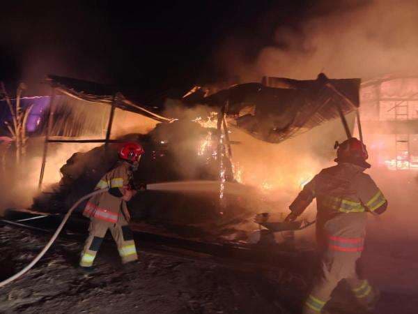 Kebakaran Kandang di Bojonegoro, 17.000 Ekor Ayam Terpanggang, Kerugian Hampir Rp1 Miliar